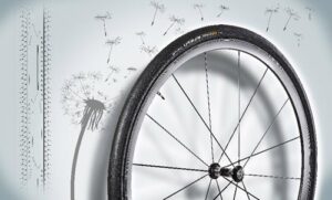 preview_2020-06-25-dandelion-rubber_2_9a93f97e44